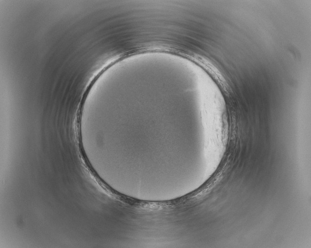 X0000115140806200912081325