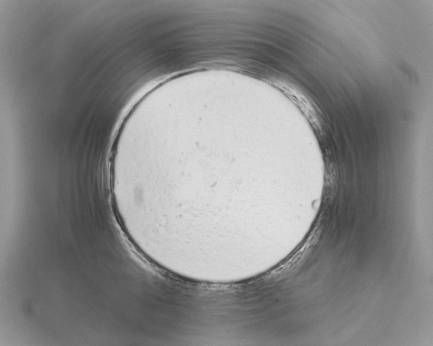 X0000115140808200912081324