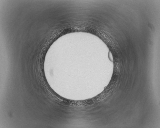 X0000115140817200912081324