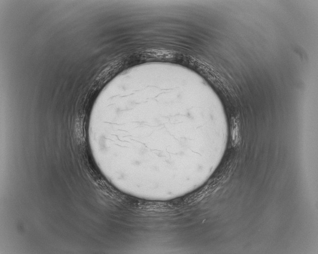 X0000115140819200912081324