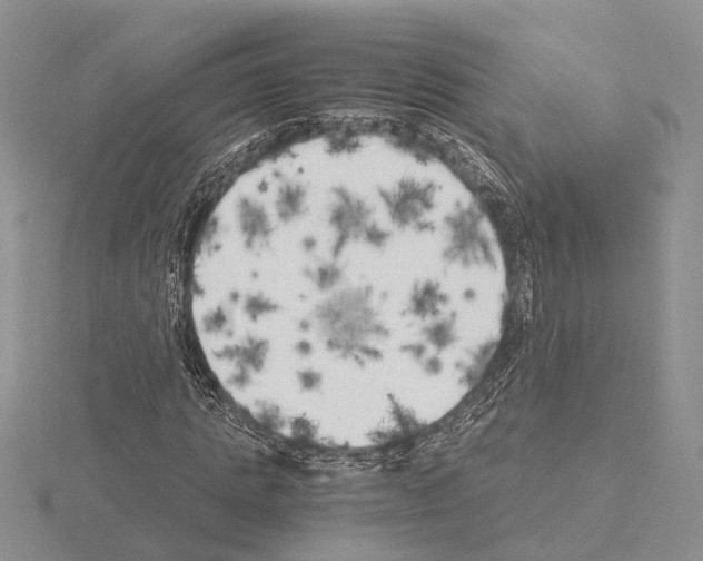 X0000115140821200912081324