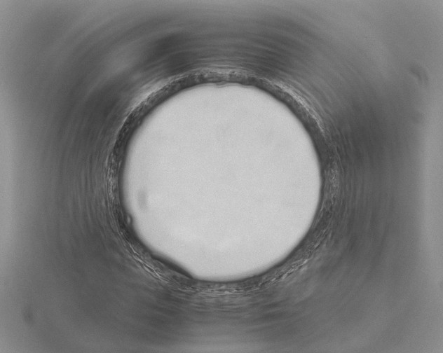 X0000115140823200912081324