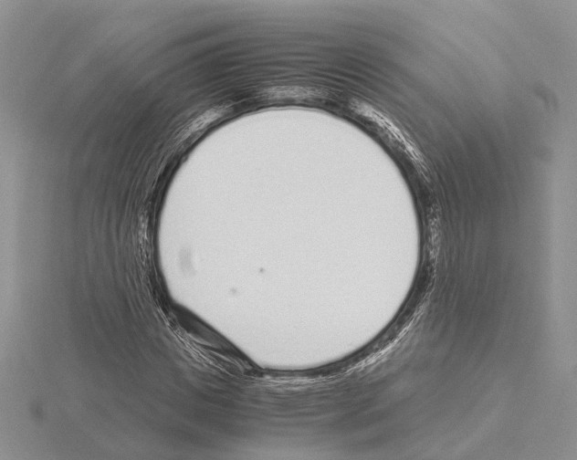 X0000115140825200912081324