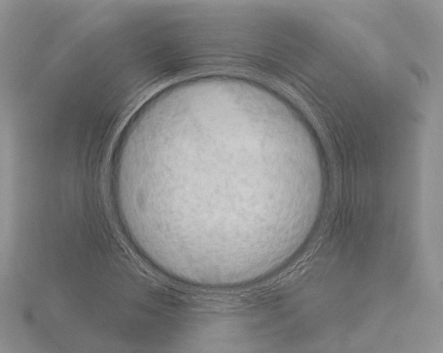 X0000115140828200912081324