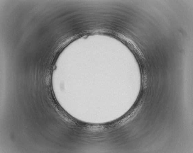 X0000115140833200912081324