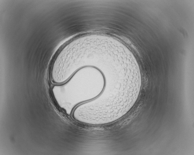 X0000115140838200912081324