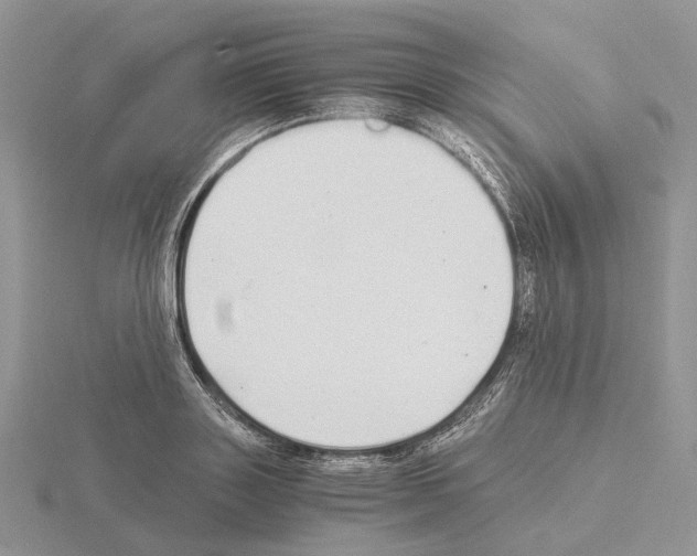 X0000115140843200912081324