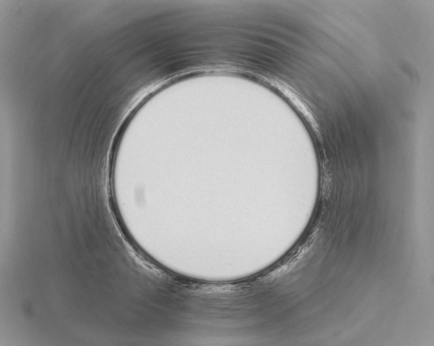 X0000115140845200912081324