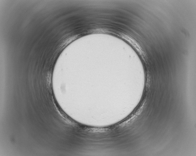 X0000115140849200912081324