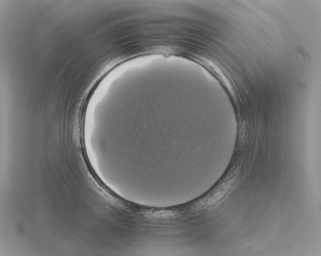 X0000115140851200912081324
