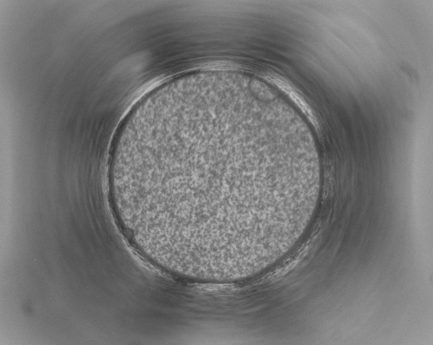 X0000115140853200912081324
