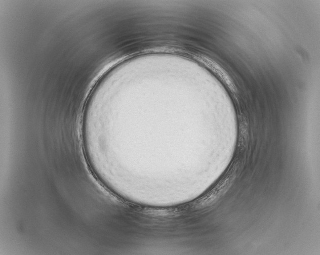 X0000115140855200912081324