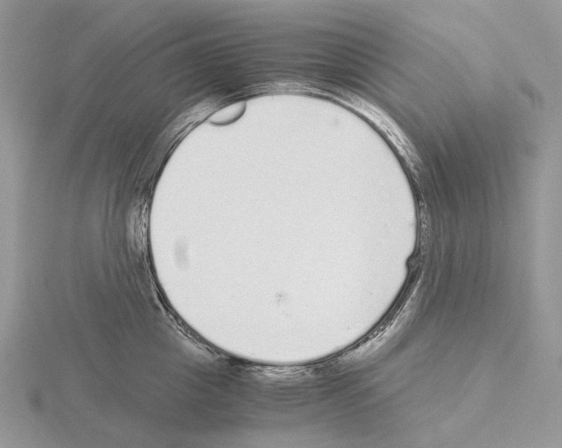 X0000115140857200912081324