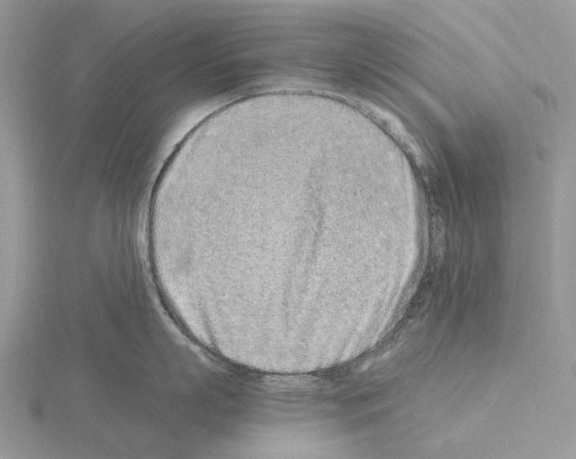X0000115140863200912081324