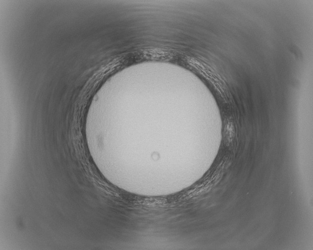 X0000115140865200912081324