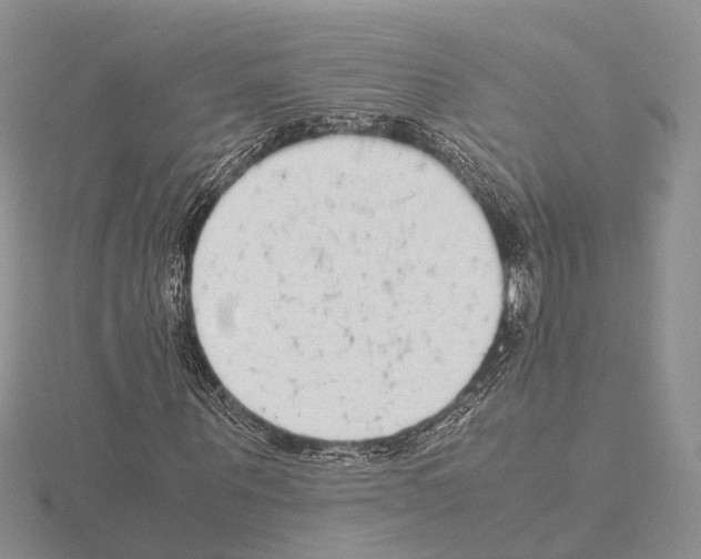 X0000115140867200912081324