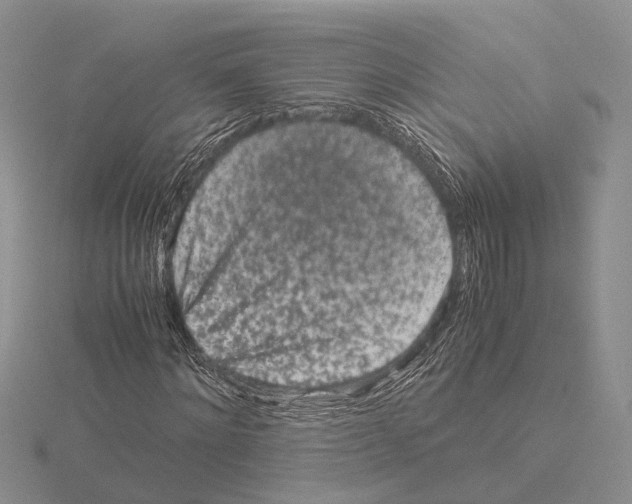X0000115140868200912081324