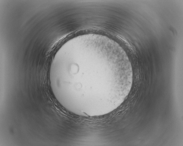X0000115140872200912081324