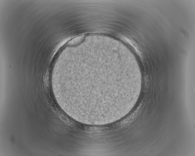 X0000115140875200912081324