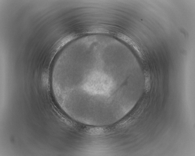 X0000115140882200912081324