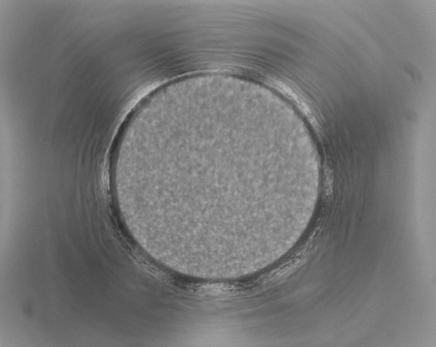 X0000115140883200912081324