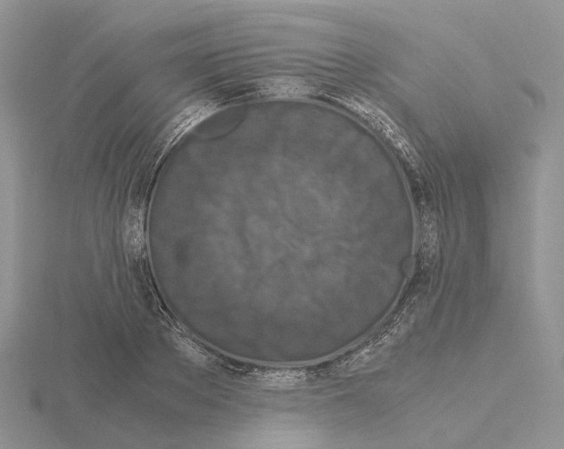 X0000115140889200912081323