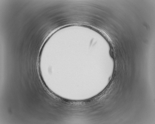 X0000115140895200912081323