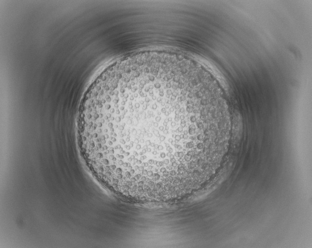 X0000115140906200912081323