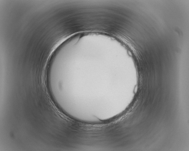 X0000115140925200912081323