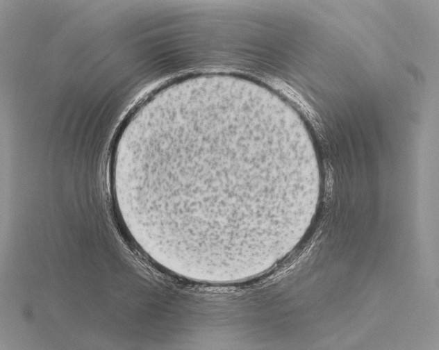 X0000115140934200912081323