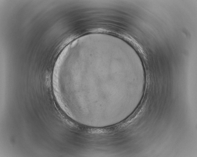 X0000115140945200912081323