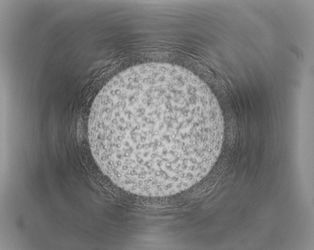 X0000115140962200912081322