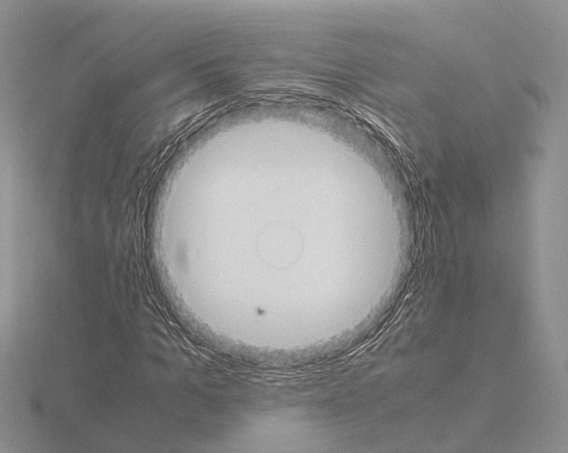 X0000115140965200912081322