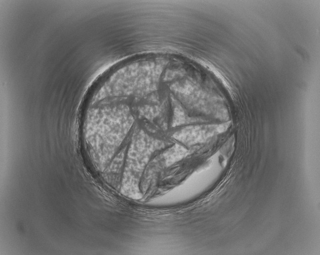 X0000115140975200912081322