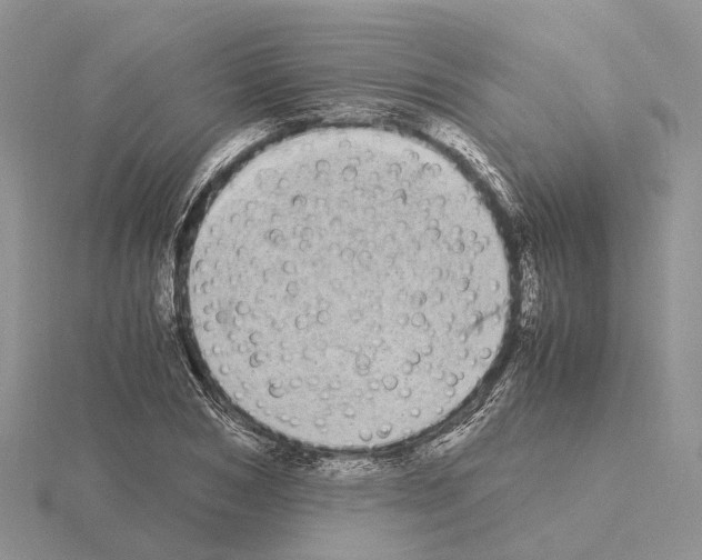 X0000115140978200912081322