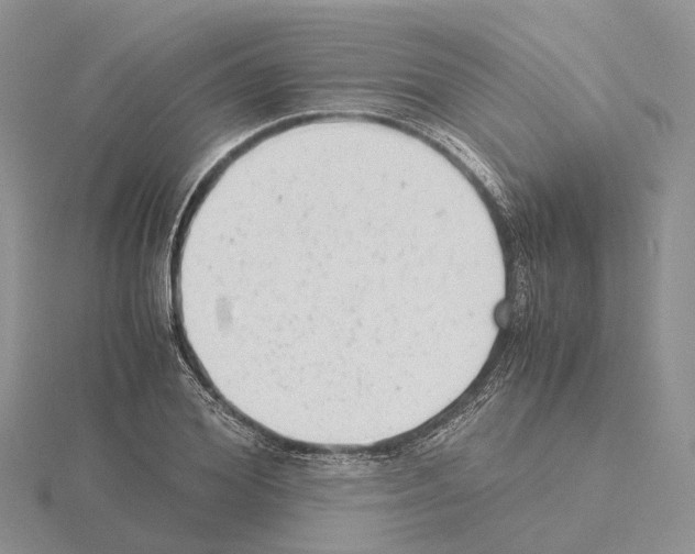 X0000115140980200912081322