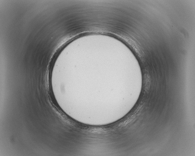 X0000115140982200912081322