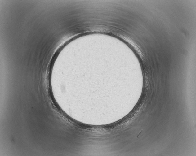 X0000115140983200912081322