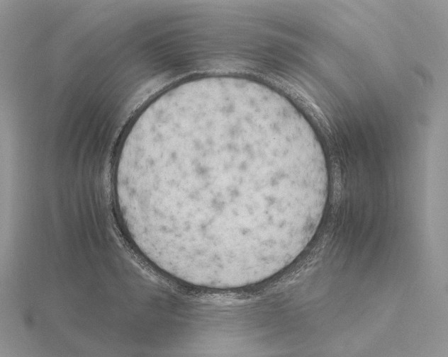 X0000115140990200912081322