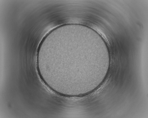 X0000115140992200912081322