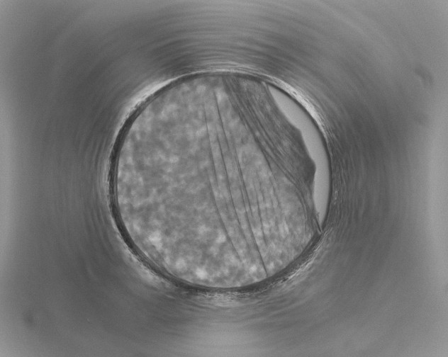 X0000115140995200912081322