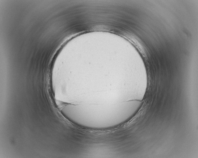 X0000115141000200912081322