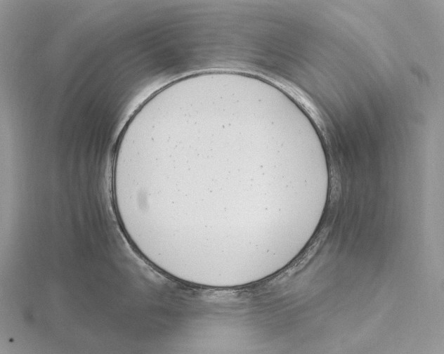 X0000115141006200912081322