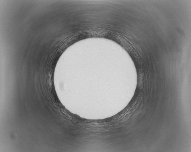 X0000115141010200912081321