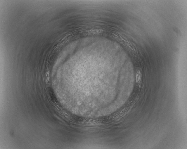 X0000115141011200912081321