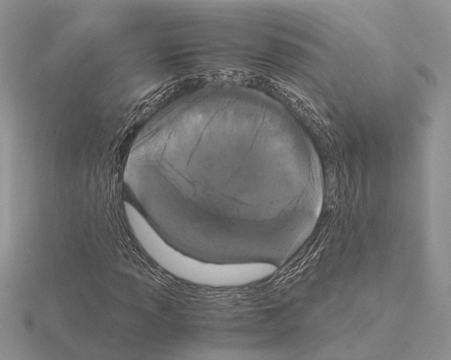 X0000115141013200912081321