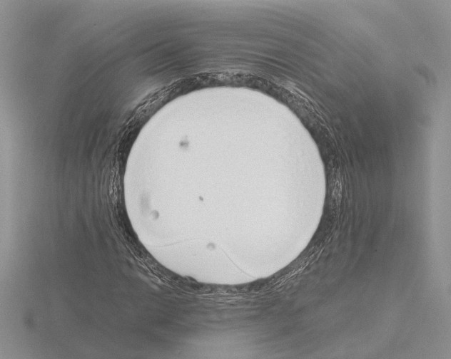 X0000115141014200912081321