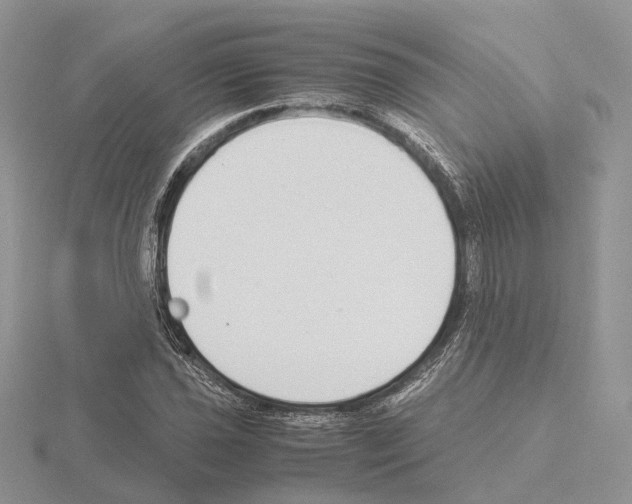 X0000115141021200912081321