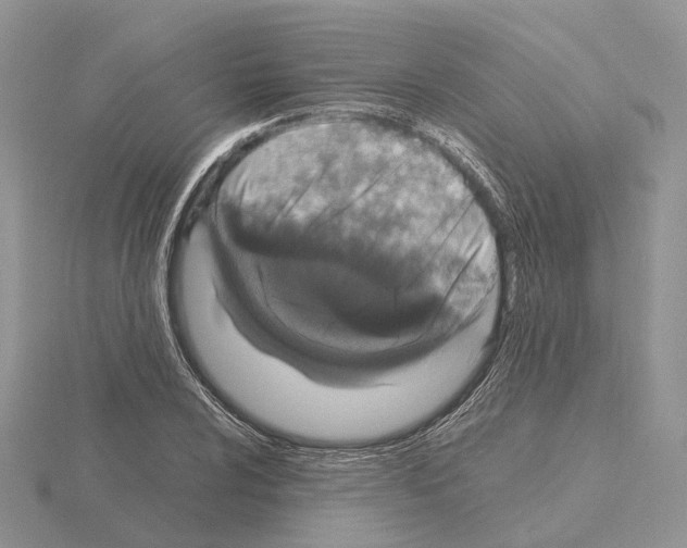 X0000115141024200912081321