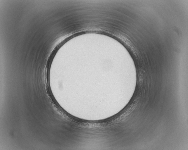 X0000115141030200912081321